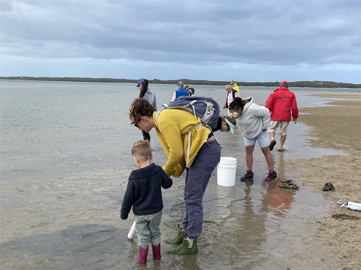 Pumping for Yabbies 1.jpg
